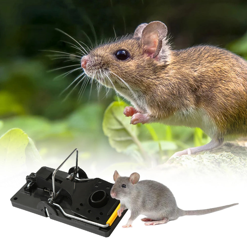 QuickCatch™ Reusable Rat & Mouse Trap