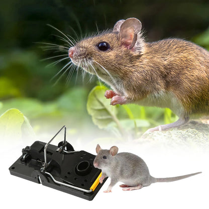 QuickCatch™ Reusable Rat & Mouse Trap